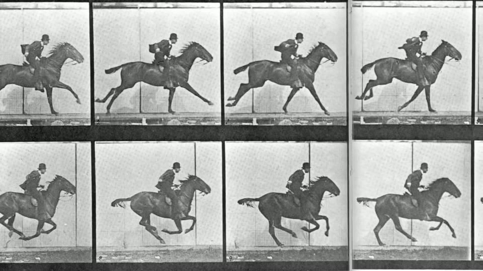 Figer le mouvement : Marey et Muybridge entre Art et Science