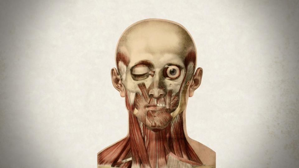 illustration Fick